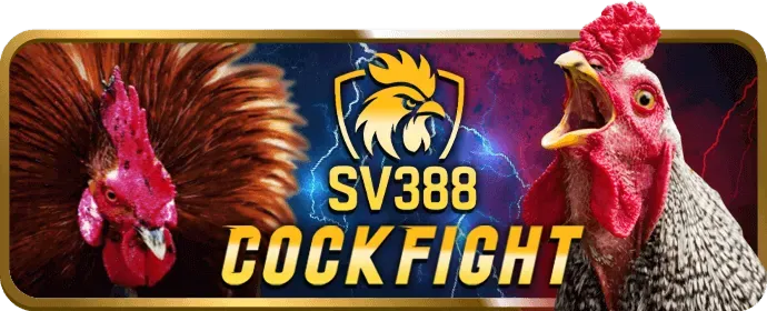 Sòng bạc trực tuyến và trò chơi máy đánh bạc trên 2233win App